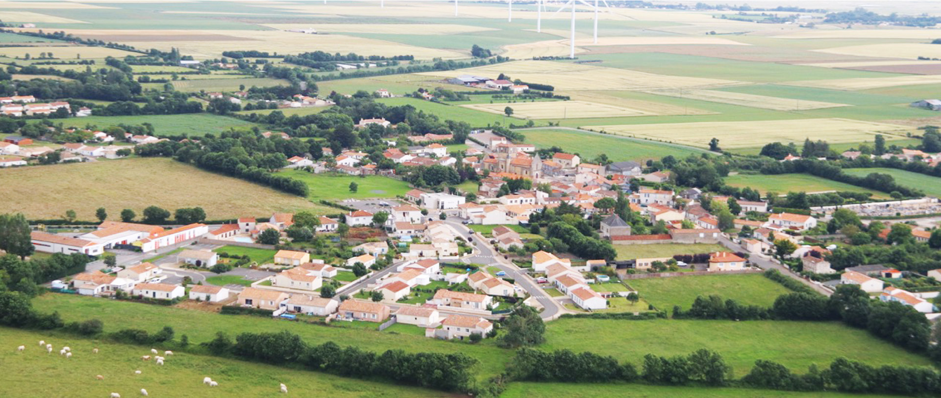 Bernard en Fête